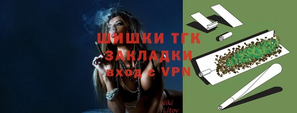 хмурый Богородицк