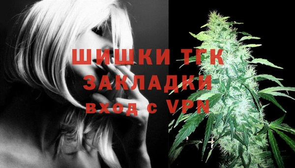 хмурый Богородицк