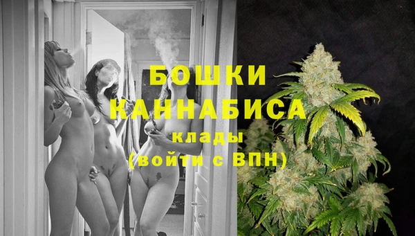 хмурый Богородицк