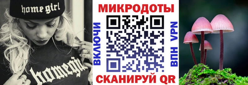 где найти наркотики  Луховицы  Псилоцибиновые грибы прущие грибы 